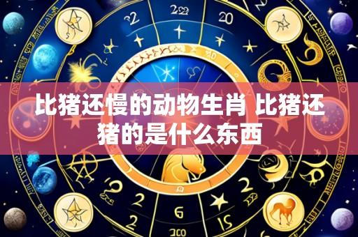 比猪还慢的动物生肖 比猪还猪的是什么东西