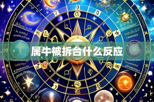 属牛被拆台什么反应