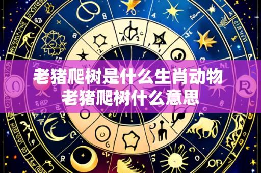 老猪爬树是什么生肖动物 老猪爬树什么意思