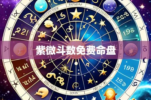 紫微斗数免费命盘