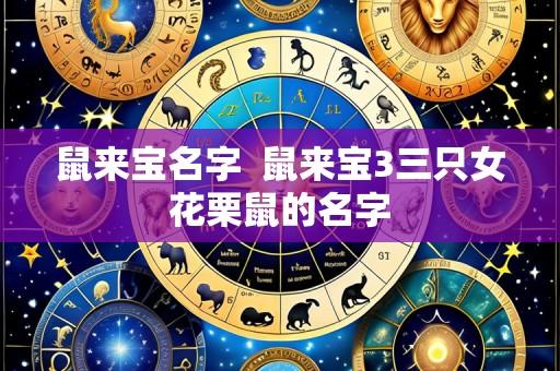 鼠来宝名字 鼠来宝3三只女花栗鼠的名字