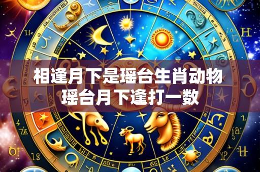 相逢月下是瑶台生肖动物 瑶台月下逢打一数