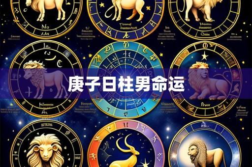 庚子日柱男命运
