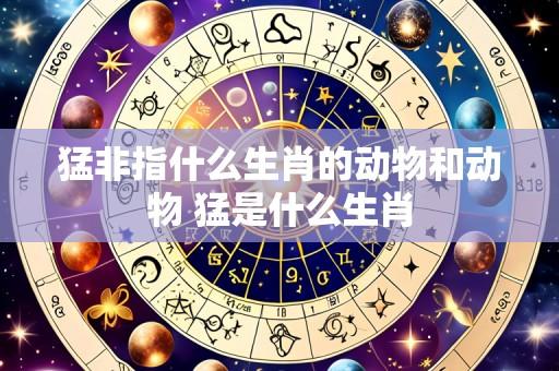 猛非指什么生肖的动物和动物 猛是什么生肖