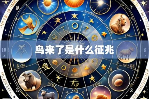 鸟来了是什么征兆