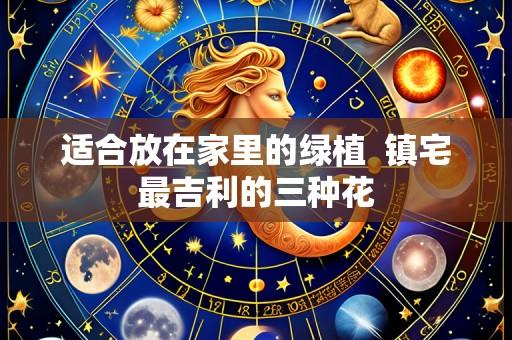适合放在家里的绿植 镇宅最吉利的三种花