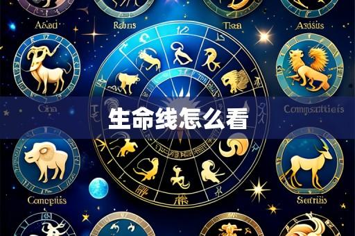 生命线怎么看