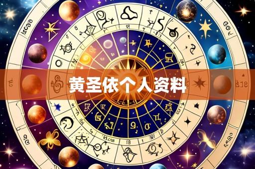 黄圣依个人资料