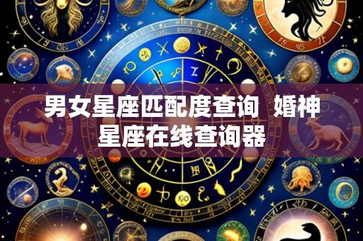 男女星座匹配度查询  婚神星座在线查询器