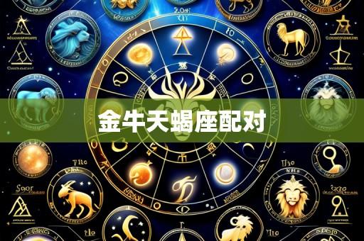 金牛天蝎座配对