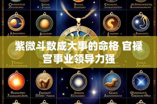 紫微斗数成大事的命格 官禄宫事业领导力强