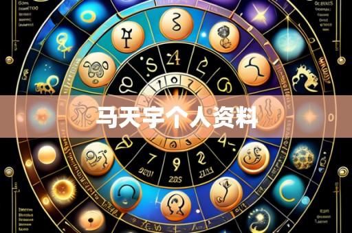马天宇个人资料