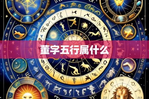 董字五行属什么