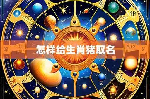 怎样给生肖猪取名