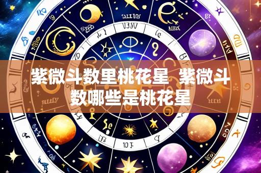 紫微斗数里桃花星 紫微斗数哪些是桃花星