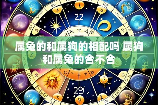 属兔的和属狗的相配吗 属狗和属兔的合不合