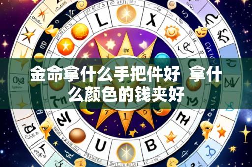金命拿什么手把件好  拿什么颜色的钱夹好