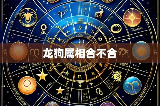 龙狗属相合不合