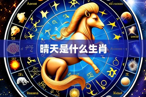 晴天是什么生肖