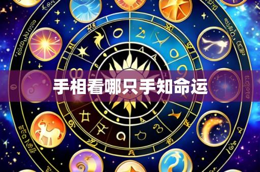 手相看哪只手知命运