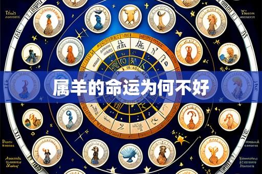 属羊的命运为何不好