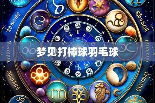 梦见打棒球羽毛球