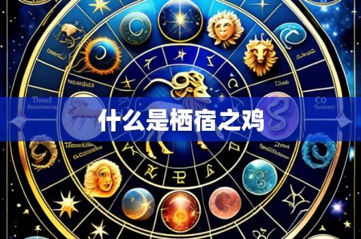 什么是栖宿之鸡