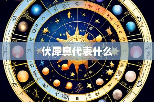 伏犀鼻代表什么