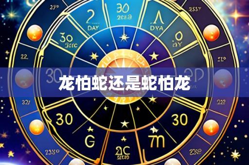 龙怕蛇还是蛇怕龙