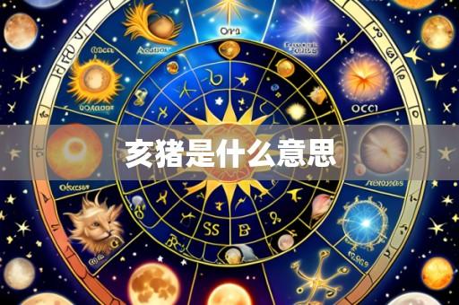 亥猪是什么意思
