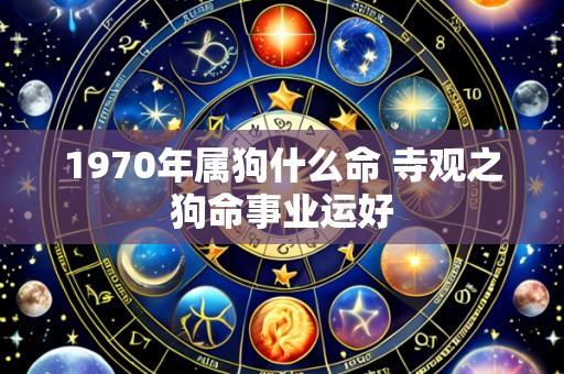 1970年属狗什么命 寺观之狗命事业运好