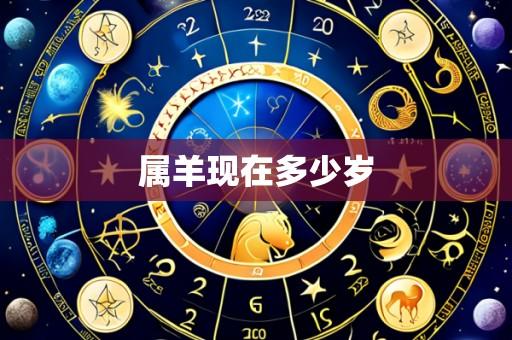 属羊现在多少岁