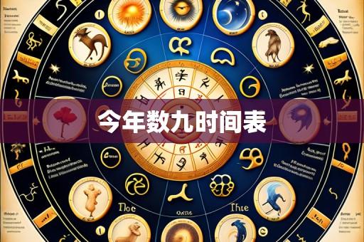 今年数九时间表