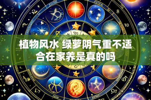 植物风水 绿萝阴气重不适合在家养是真的吗