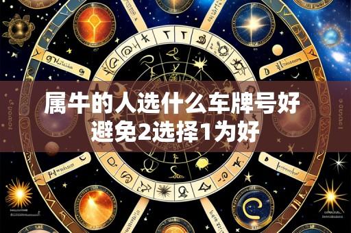 属牛的人选什么车牌号好 避免2选择1为好
