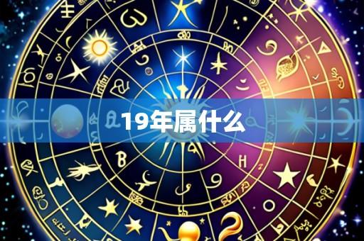 19年属什么