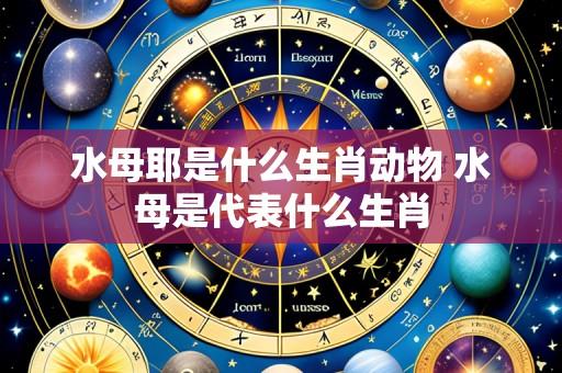水母耶是什么生肖动物 水母是代表什么生肖