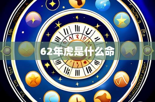 62年虎是什么命