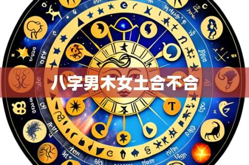 八字男木女土合不合
