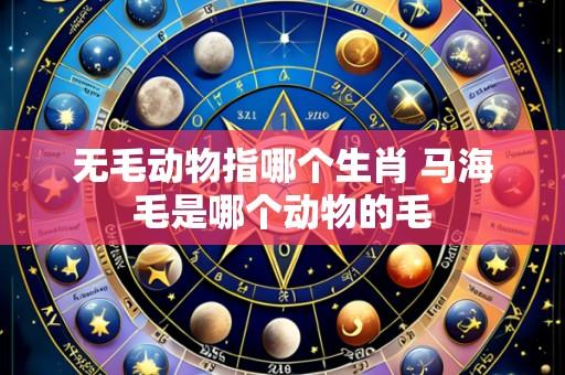 无毛动物指哪个生肖 马海毛是哪个动物的毛