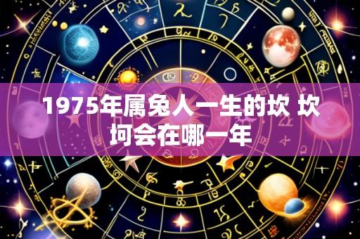 1975年属兔人一生的坎 坎坷会在哪一年
