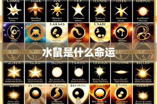 水鼠是什么命运
