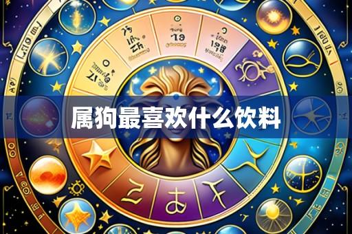属狗最喜欢什么饮料