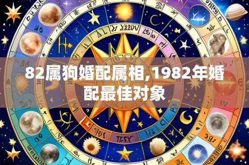 82属狗婚配属相,1982年婚配最佳对象
