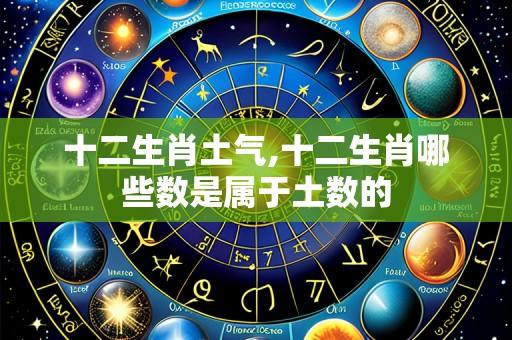 十二生肖土气,十二生肖哪些数是属于土数的