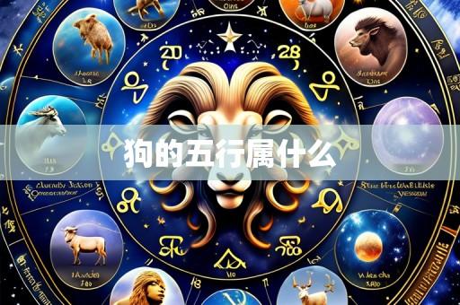 狗的五行属什么