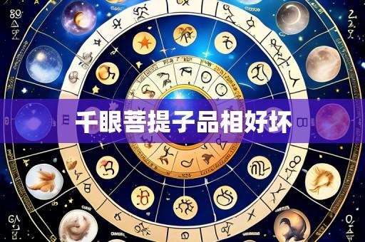 千眼菩提子品相好坏