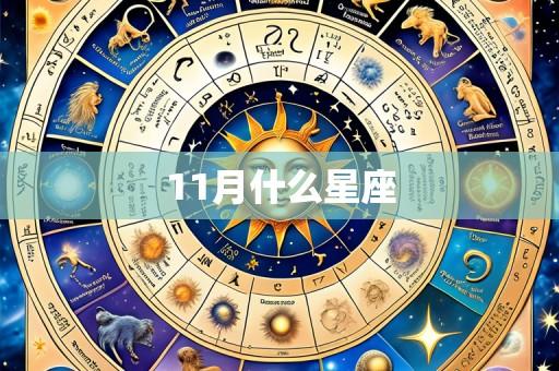 11月什么星座