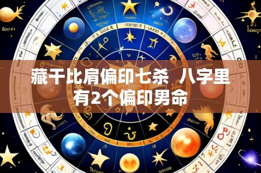 藏干比肩偏印七杀 八字里有2个偏印男命