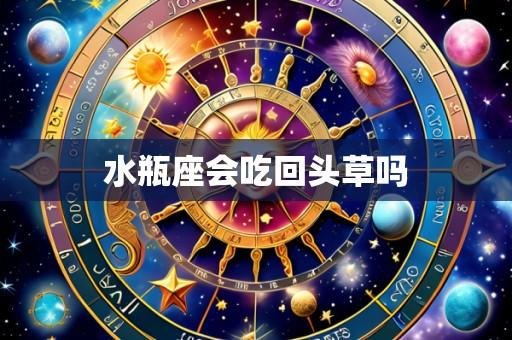 水瓶座会吃回头草吗